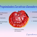 propiedades-medicinales-ganoderma
